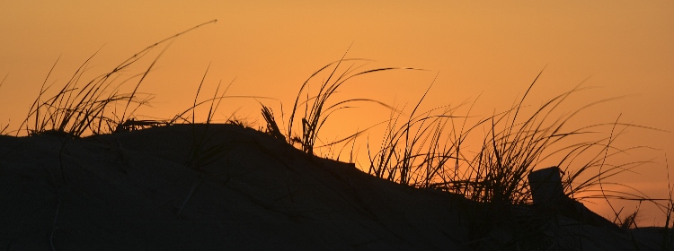 sunset at Herring Cove